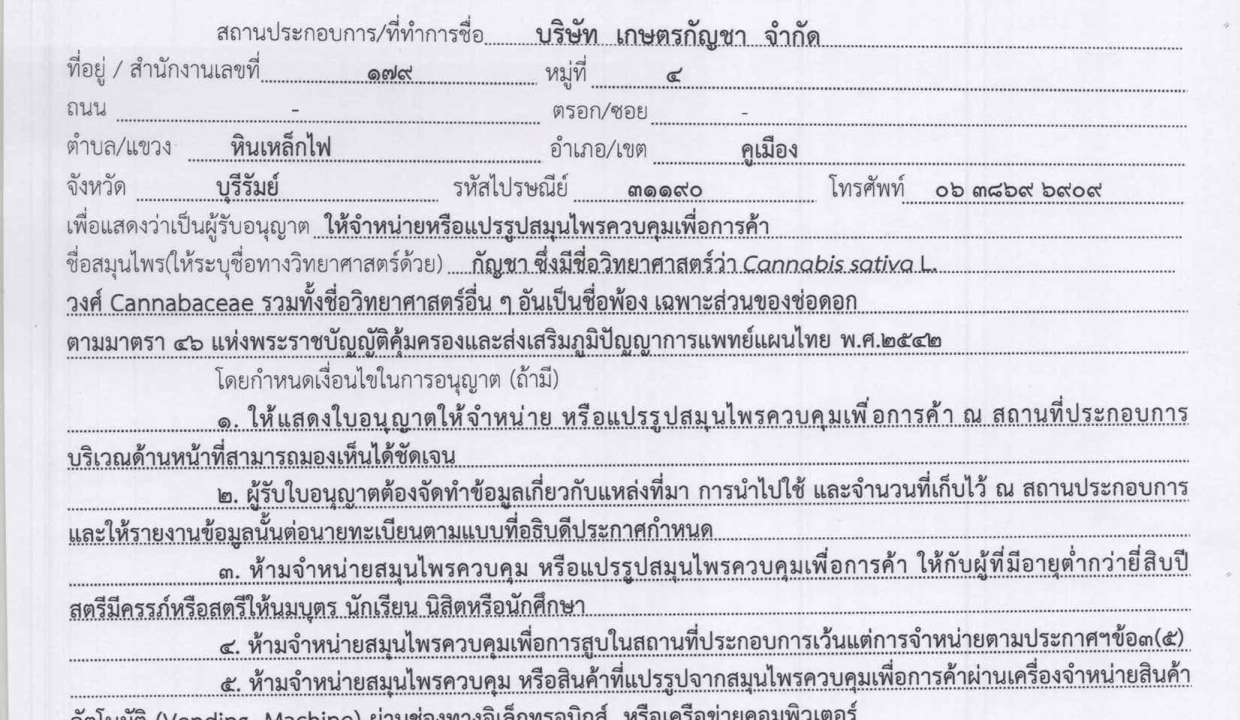 Marijuana Legalization Status in Thailand