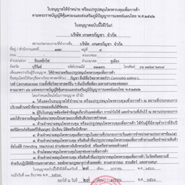 Marijuana Legalization Status in Thailand